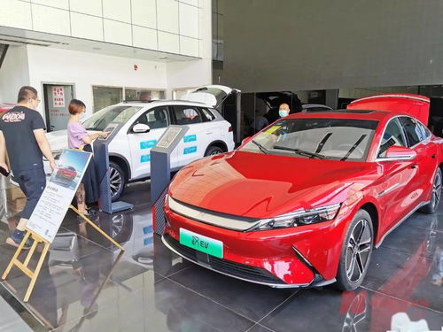 新能源車補貼退坡調查 市場終端火爆，車企策略分化，今年銷量劍指600萬輛