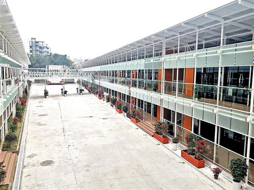 龍華區(qū)教育升級 新校建設(shè)“加速度”，老校擴(kuò)容成效顯新型環(huán)保建材應(yīng)用亮眼